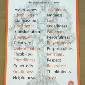 Seeds of Character Wall Chart